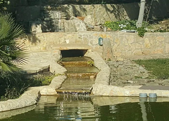 Quinta Do Juliao 펜션