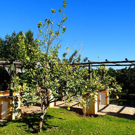 Quinta Do Juliao